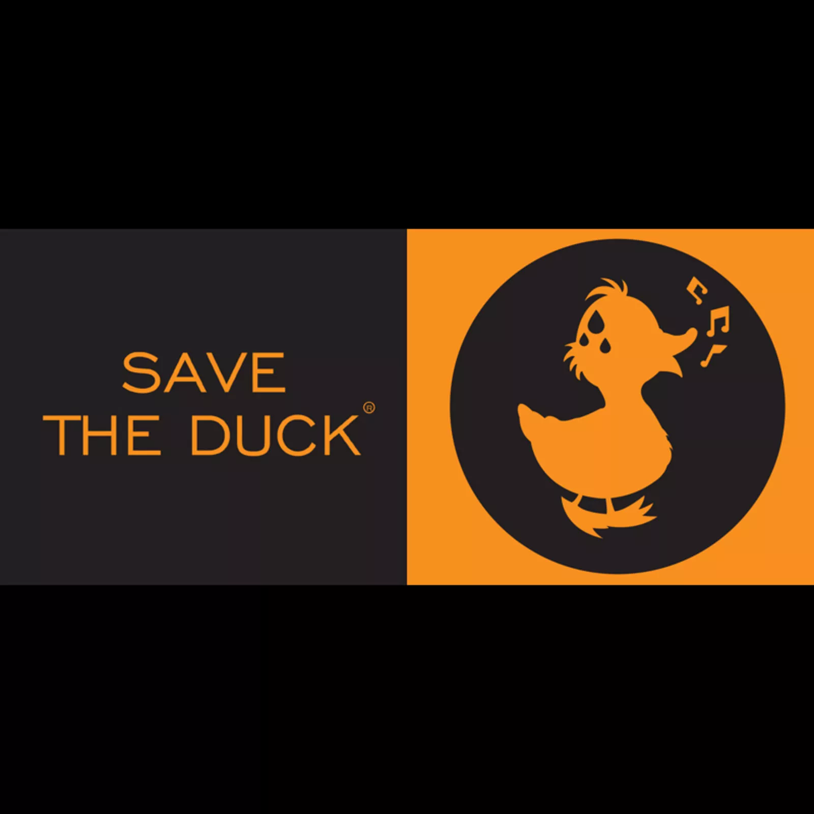 Save the duck 