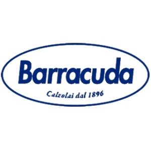 logo barracuda
